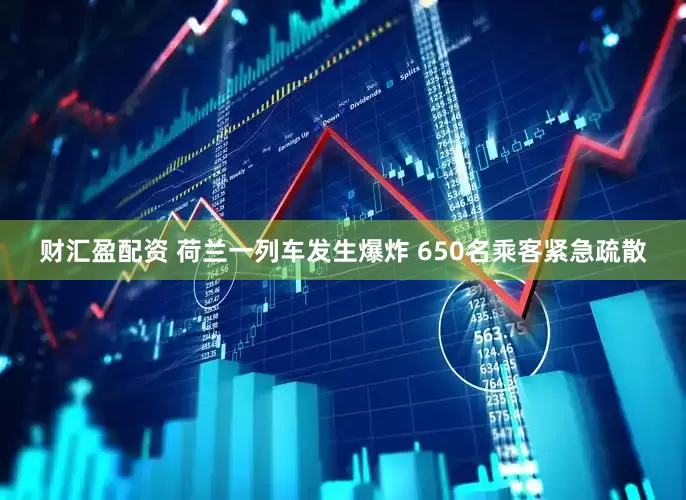 财汇盈配资 荷兰一列车发生爆炸 650名乘客紧急疏散