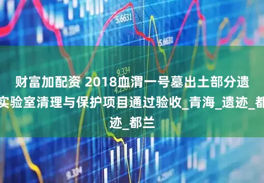 财富加配资 2018血渭一号墓出土部分遗存实验室清理与保护项目通过验收_青海_遗迹_都兰