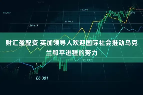 财汇盈配资 英加领导人欢迎国际社会推动乌克兰和平进程的努力