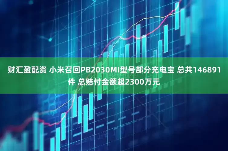 财汇盈配资 小米召回PB2030MI型号部分充电宝 总共146891件 总赔付金额超2300万元